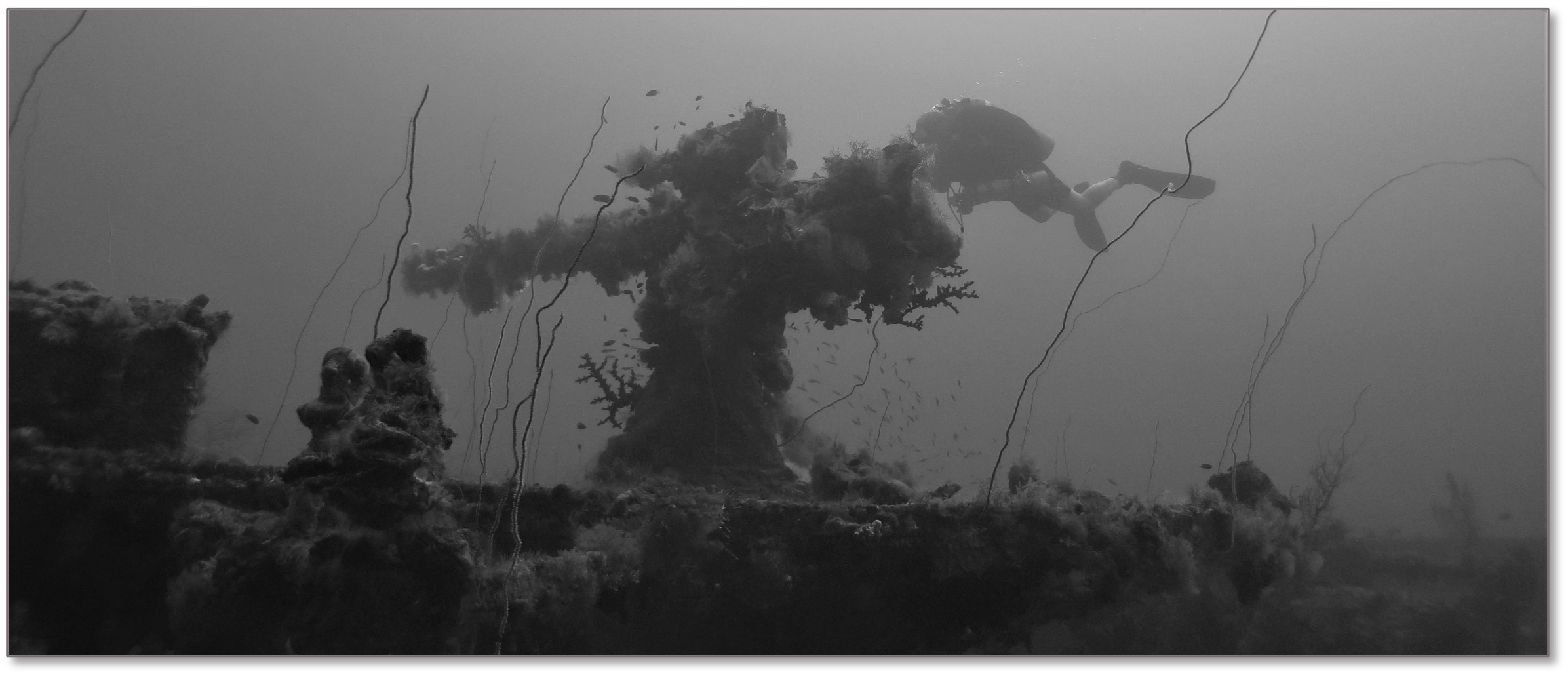 Curt diving the San Francisco Maru in Chuuk Lagoon (~170 ft., forward gun, main deck)
